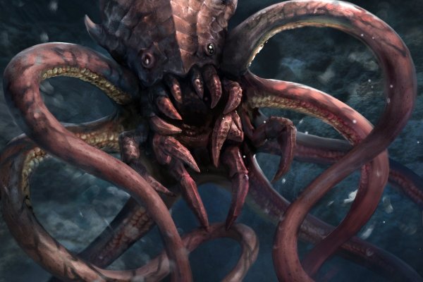 Kraken найдется все