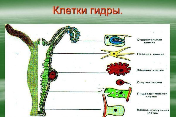 Пользователь не найден кракен даркнет